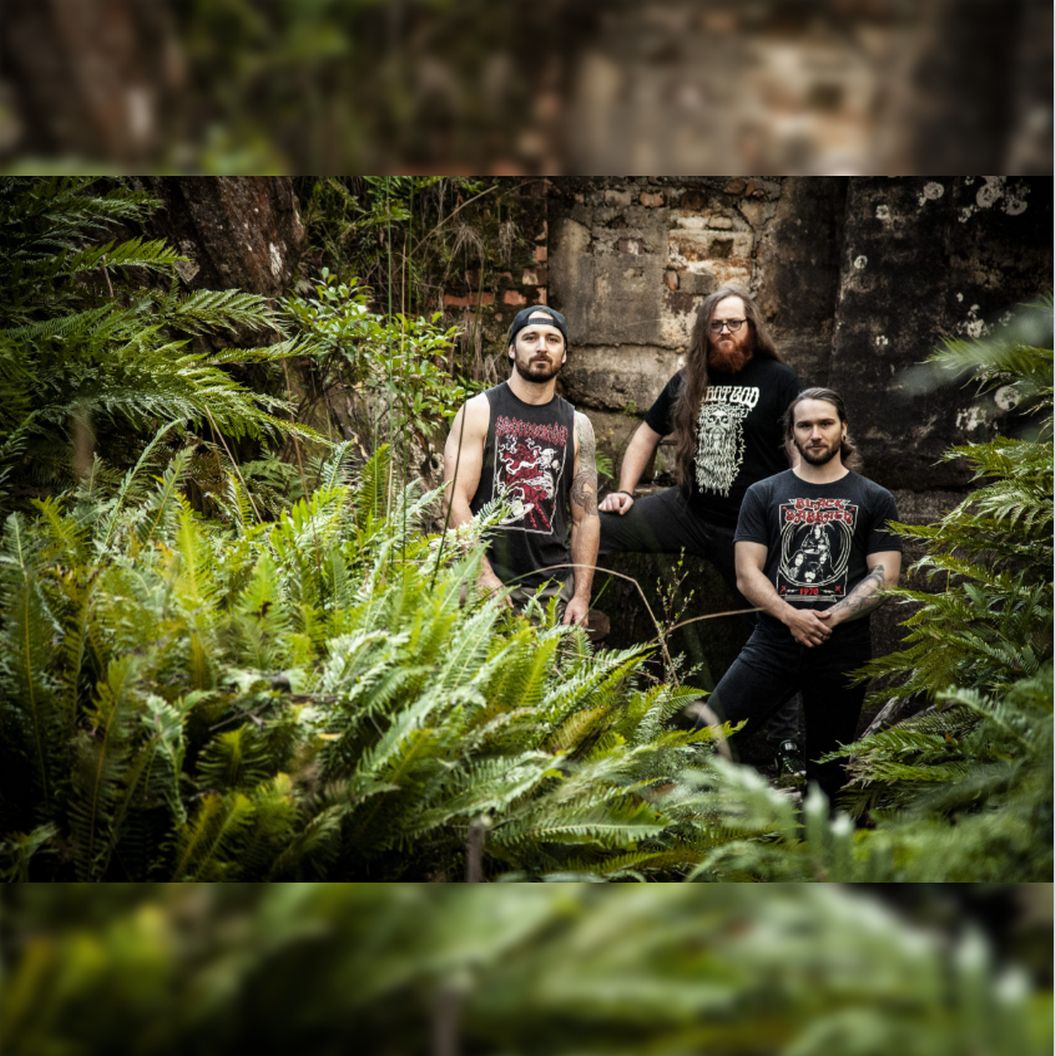 Read more about the article Celestial Oath