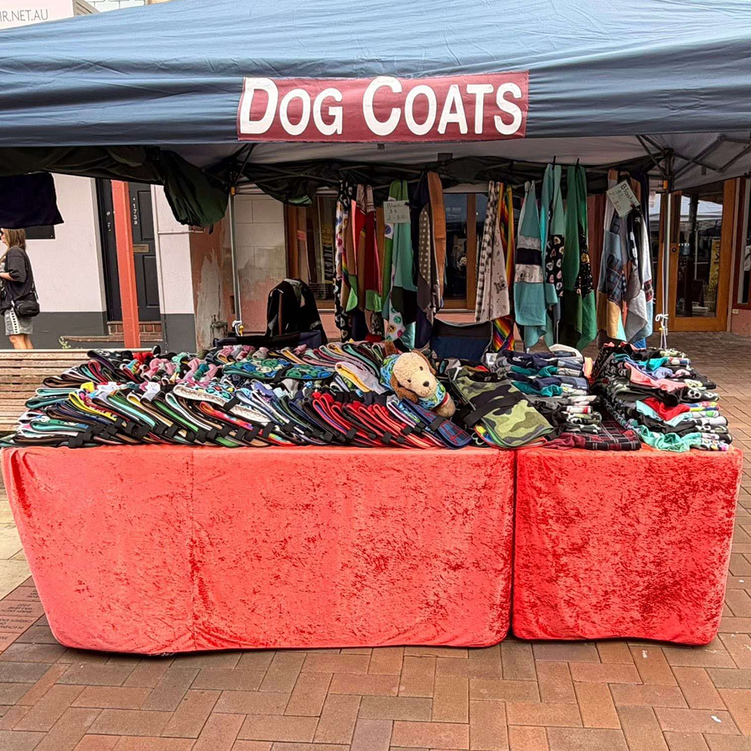 You are currently viewing Dog Coats