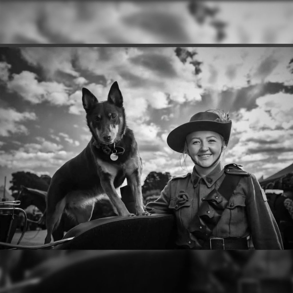 Fernhill Australia Arms