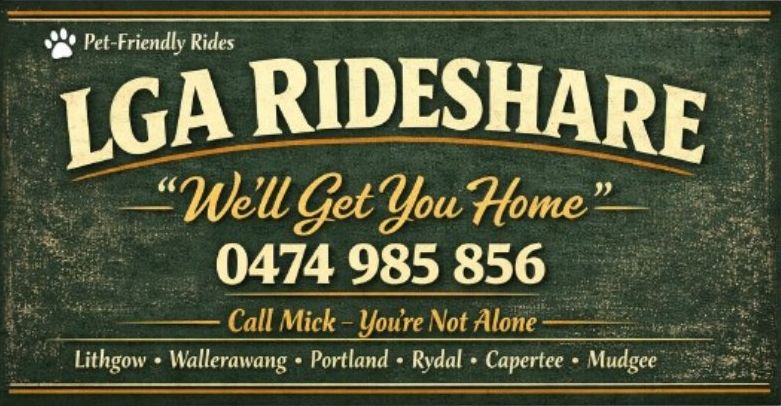 Michael Mammen LGA Rideshare Service