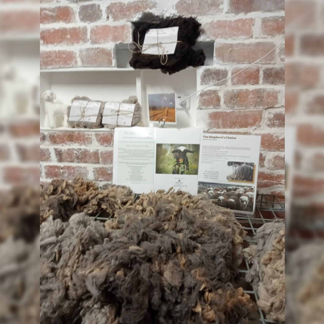 Read more about the article The Shepherds Choice